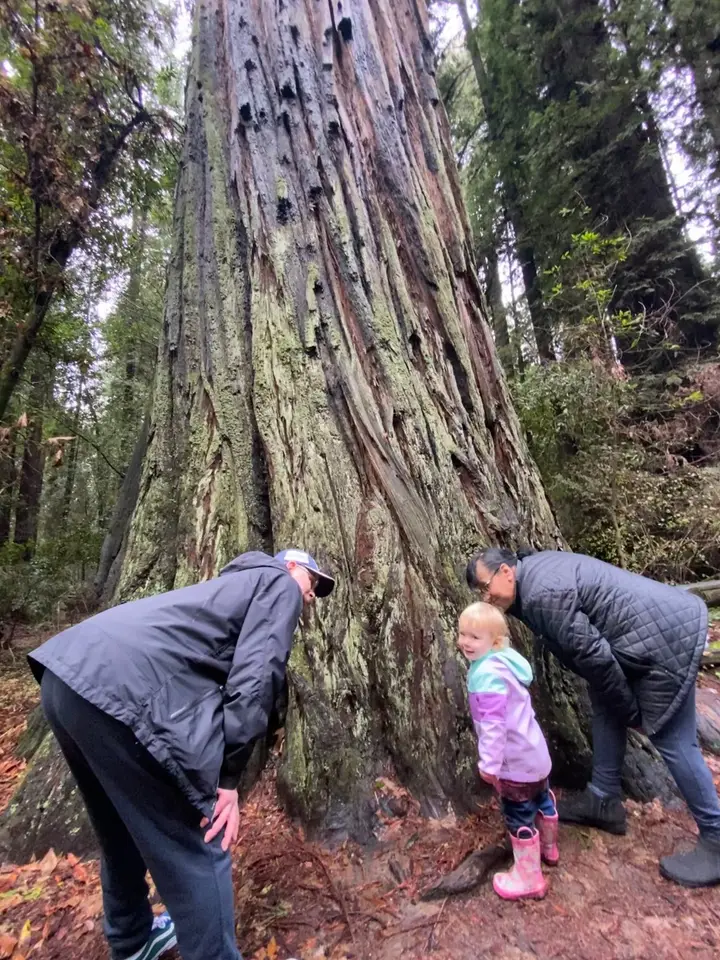 Juni with Grandma and Grandpa beside a redwood tree in Santa Cruz